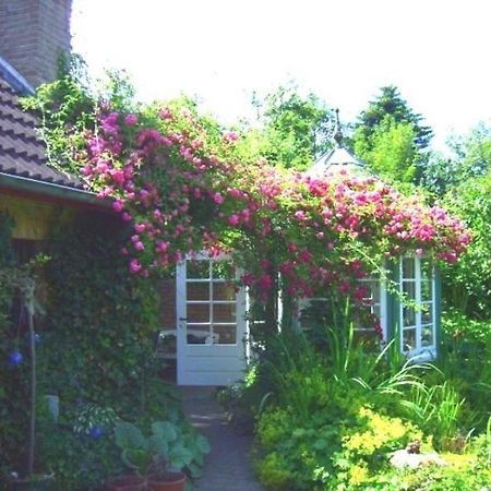 Ferienwohnung Diena - Unterkunft Mit Toller Ausstattung Und Zwei Terrassen Тарп Экстерьер фото